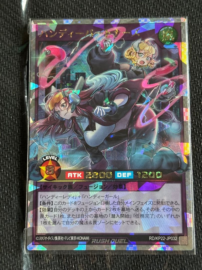 ハンディーガール ハンディーパートナーズ