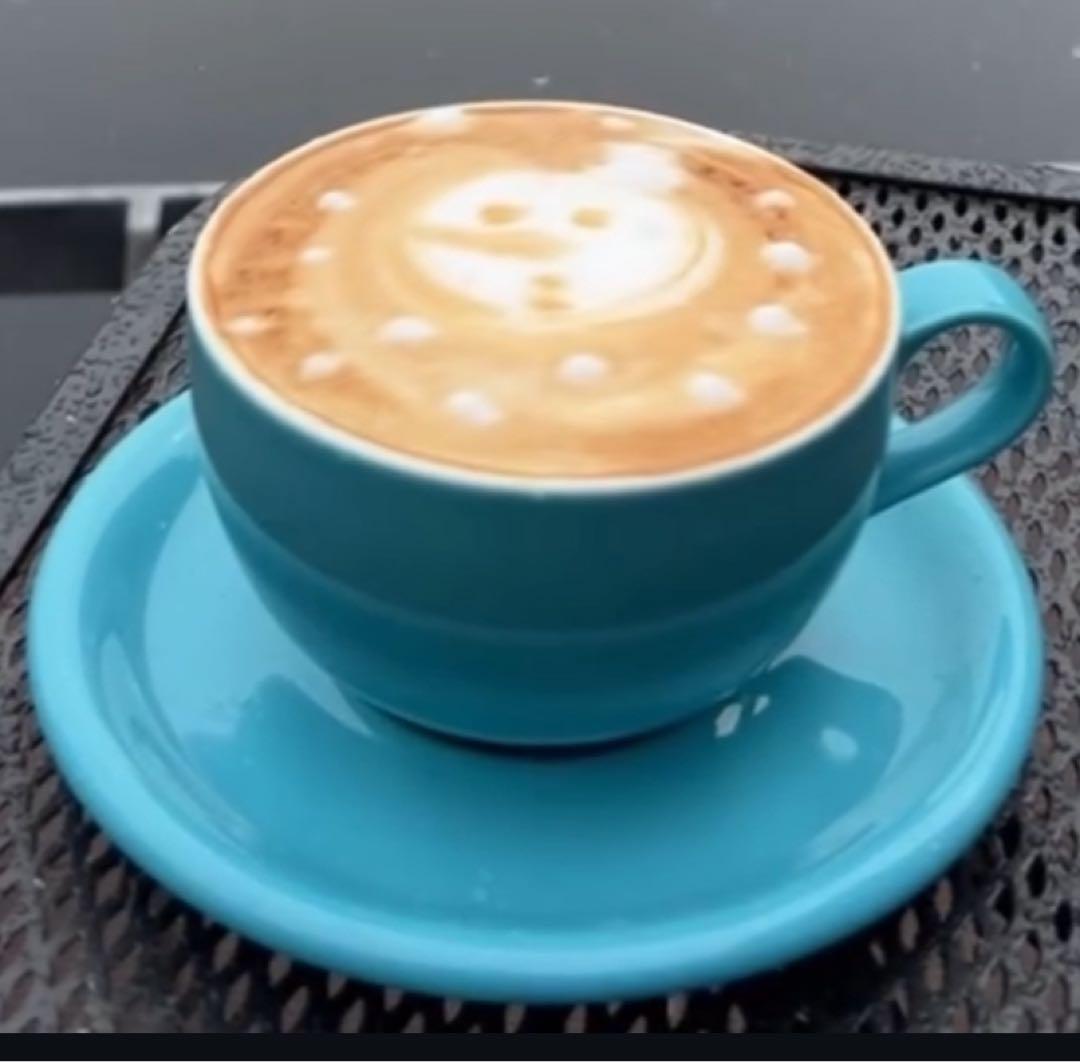 【松岡】VBM エスプレッソマシン Domobar super 周辺器具