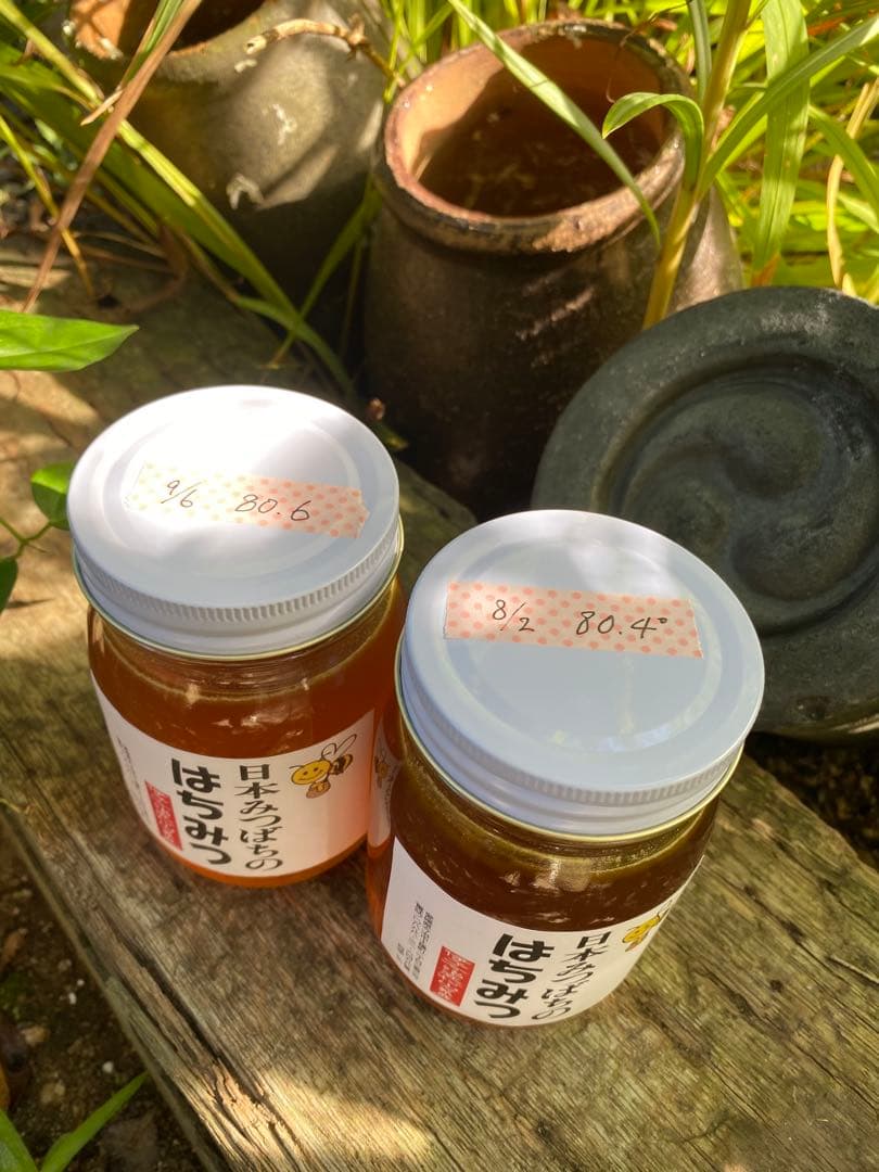 日本蜜蜂のハチミツ　巣箱違いの蜂蜜　奥山の奥のはちみつ