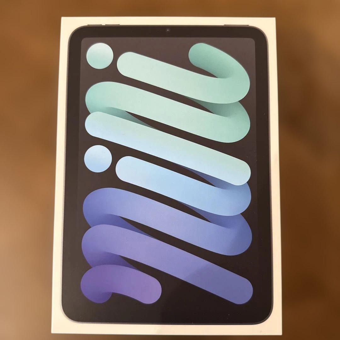 iPad mini (第7世代) スペースグレー　256GB