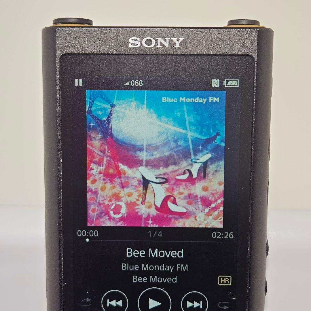 美品 SONY NW-ZX300G 128GB WALKMAN 箱 説明書 本体