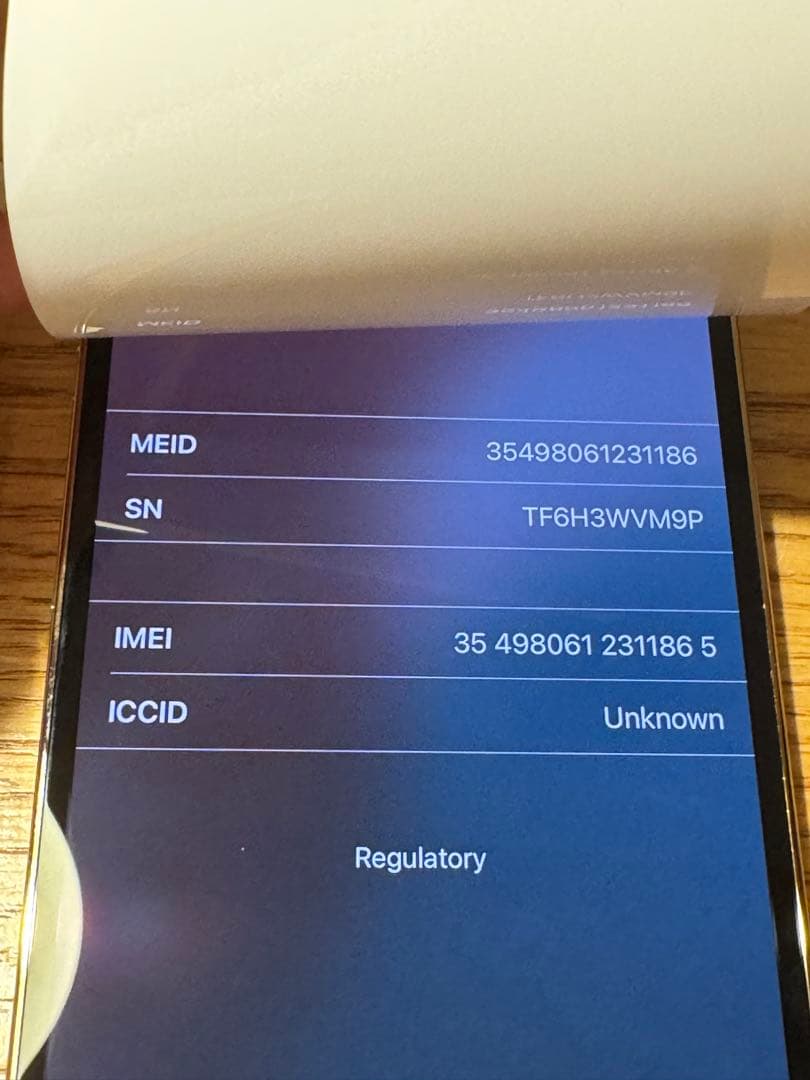 【新品未使用 最安値AppleCare+付】iPhone13 Pro 128GB