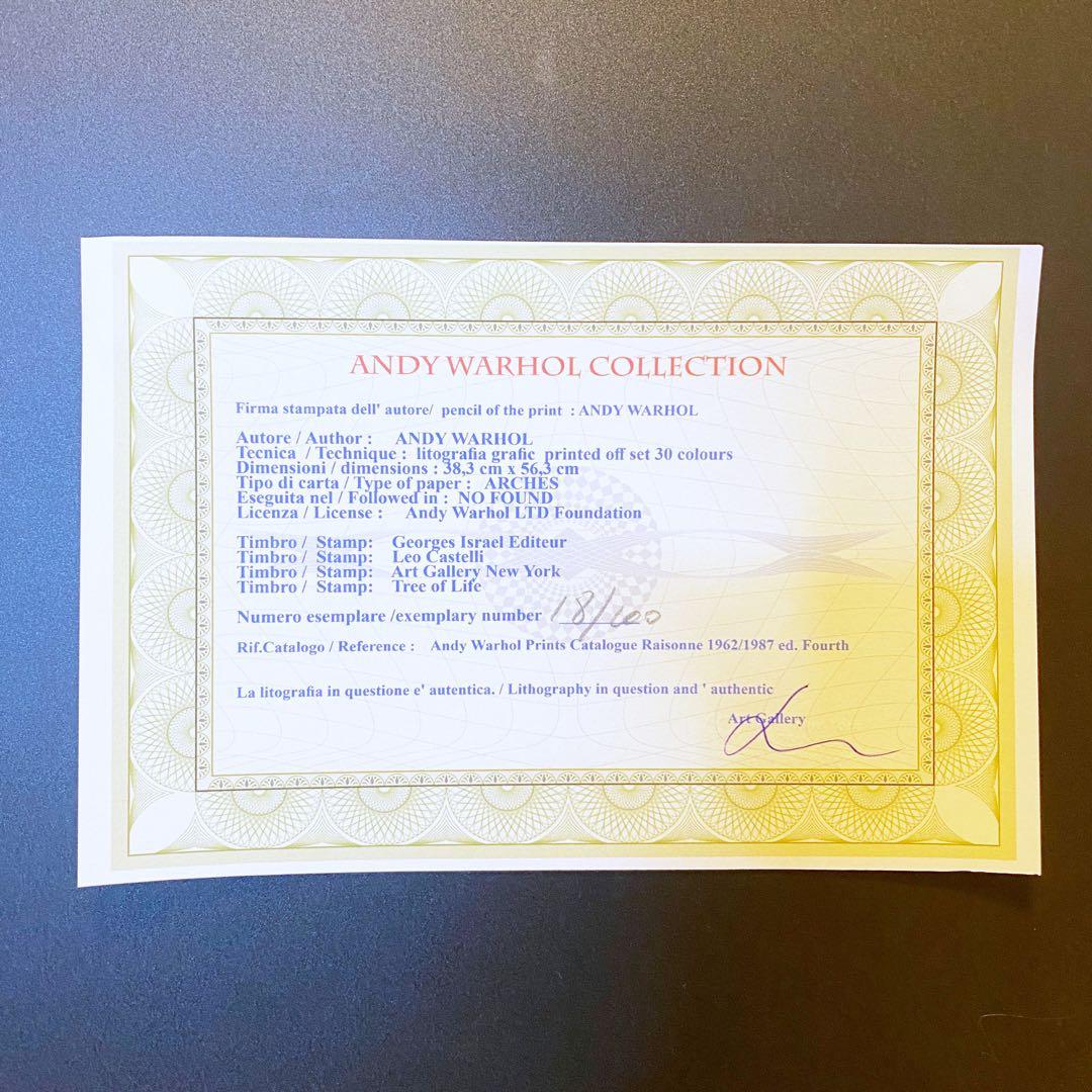 【模写】世界限定100枚! アンディ・ウォーホル ミック・ジャガー リトグラフ