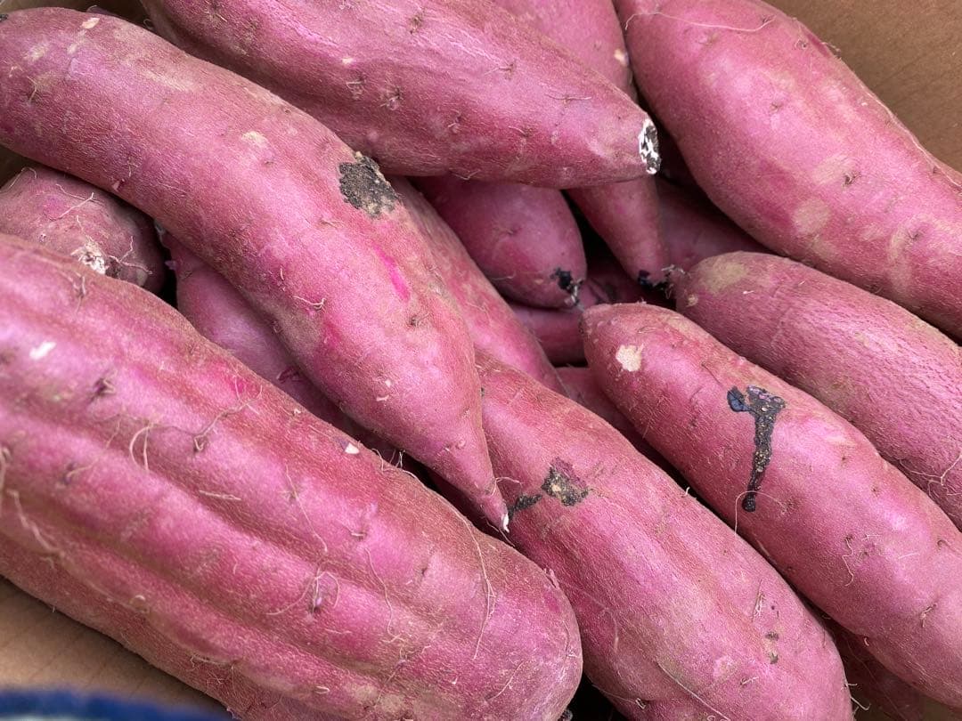 茨城県産紅はるかM200キロ　海花品