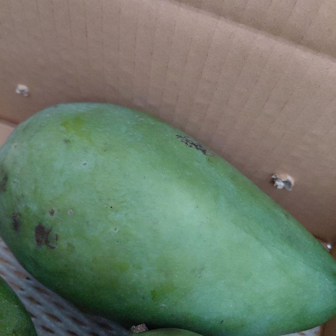 追熟型　キーツとキンコウ