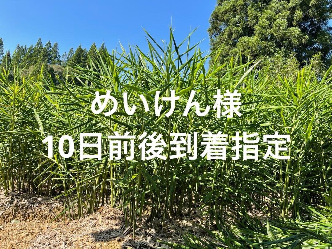 専用　親生姜25kg