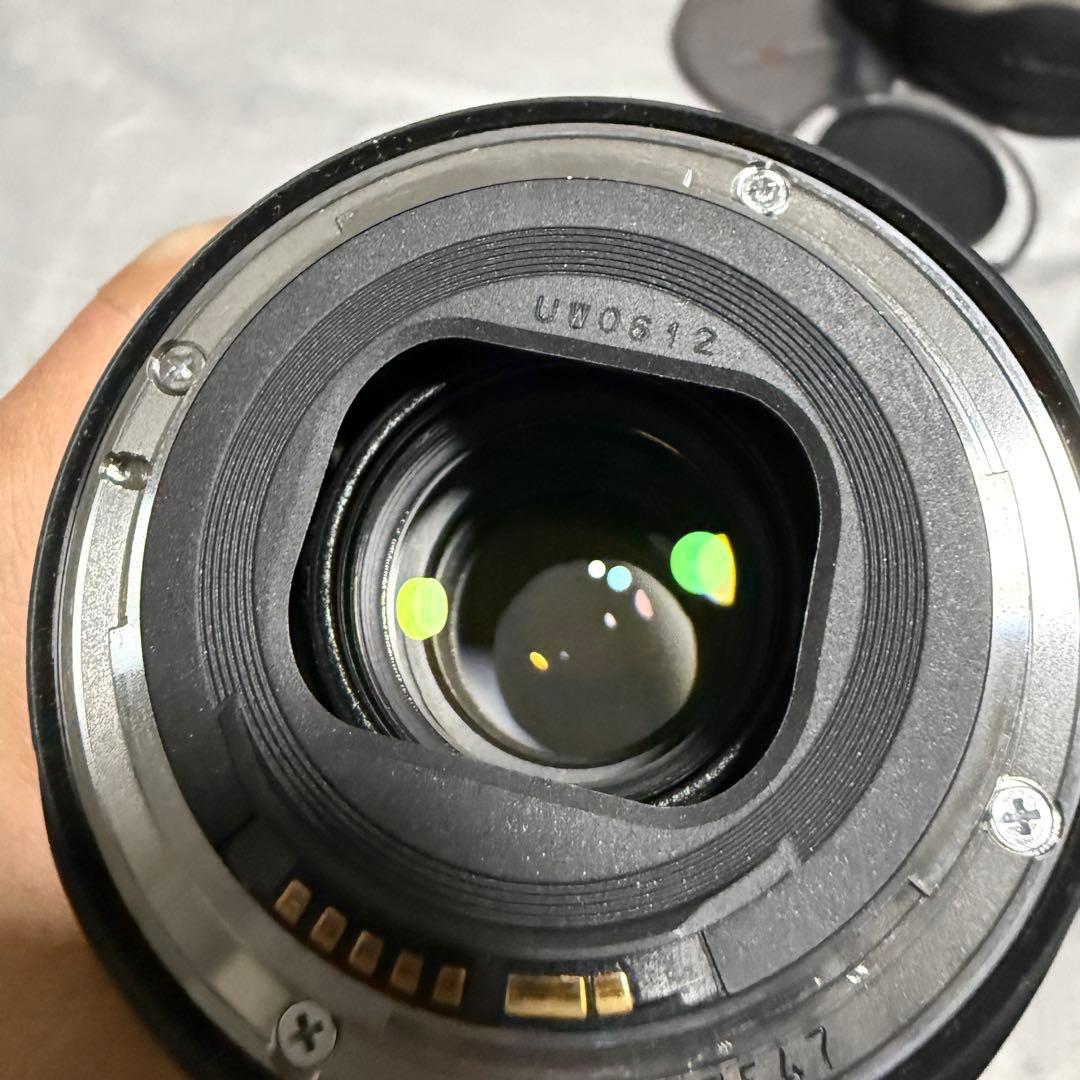 Canon EF 24-105 f4 Lレンズ PLフィルター付き キヤノン