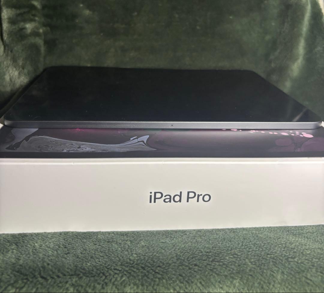 iPad Pro 11インチ 第1世代 Wi-Fi 1TB MTXV2J/A