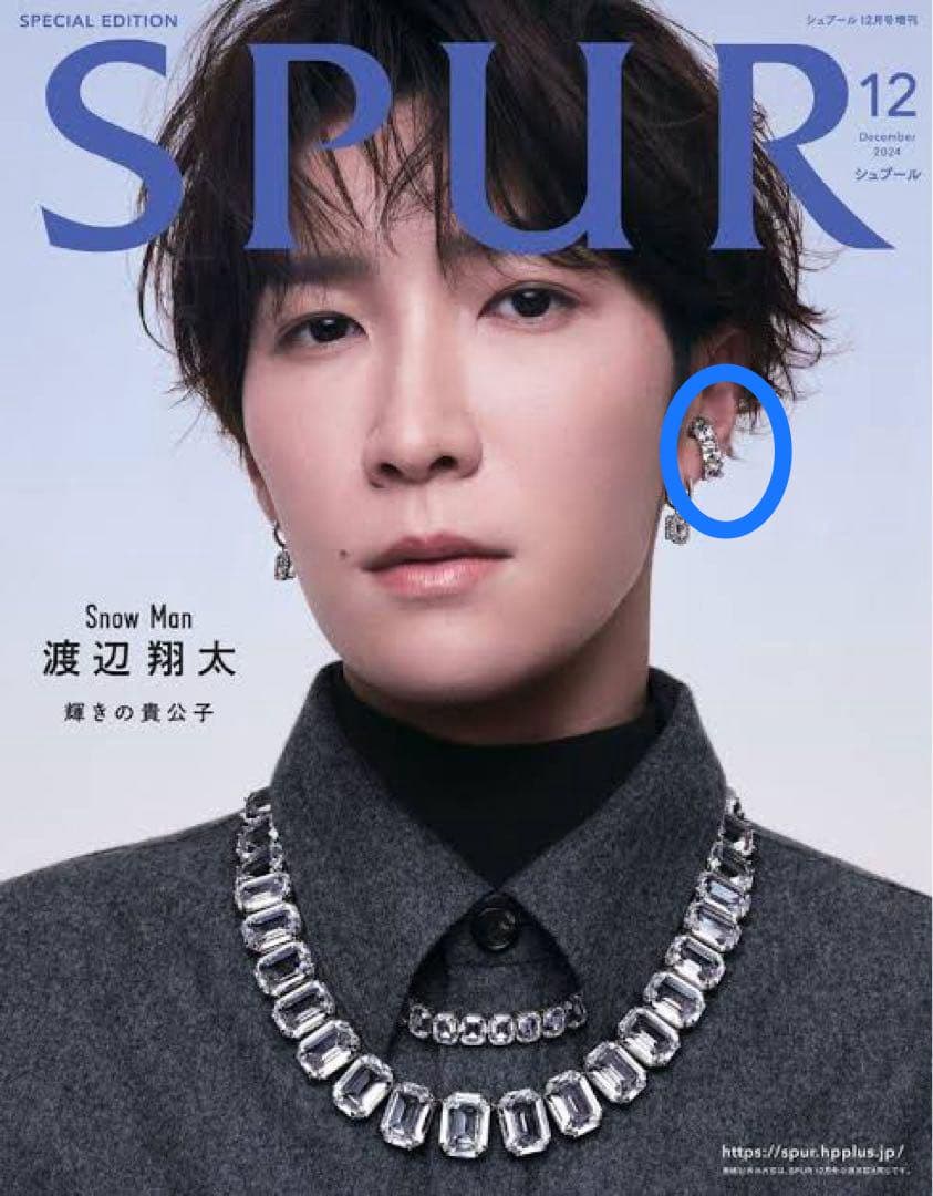 Swarovski スワロフスキー 渡辺翔太さん着用 片耳イヤーカフ