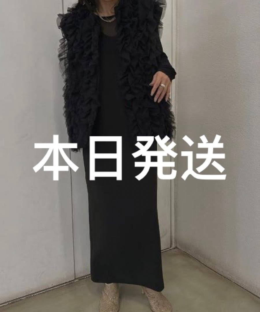 結婚式おすすめAMERI I LINE TULLE VEST SET DRESS