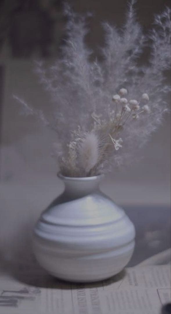 希少？開発未発表？VIVITAR？85mm f1.4 EFマウントアダプター