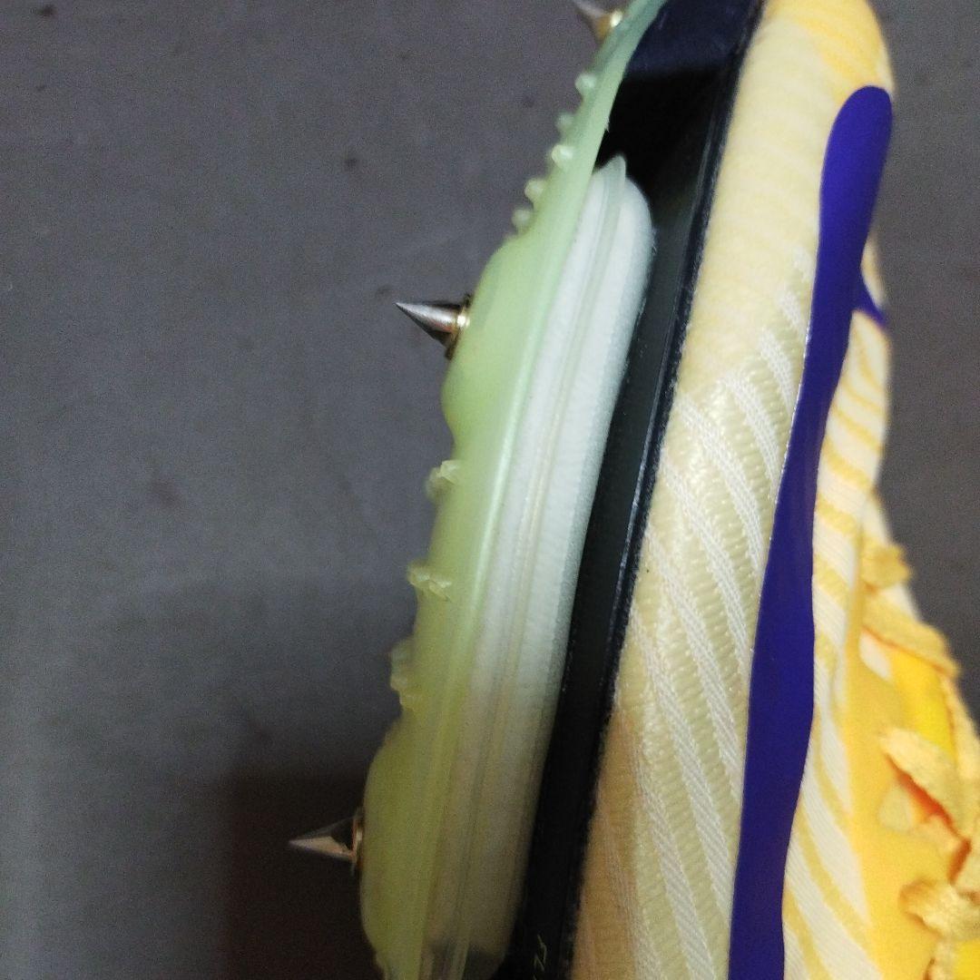 専用中 Nike zoom maxfly 2 28.5cm