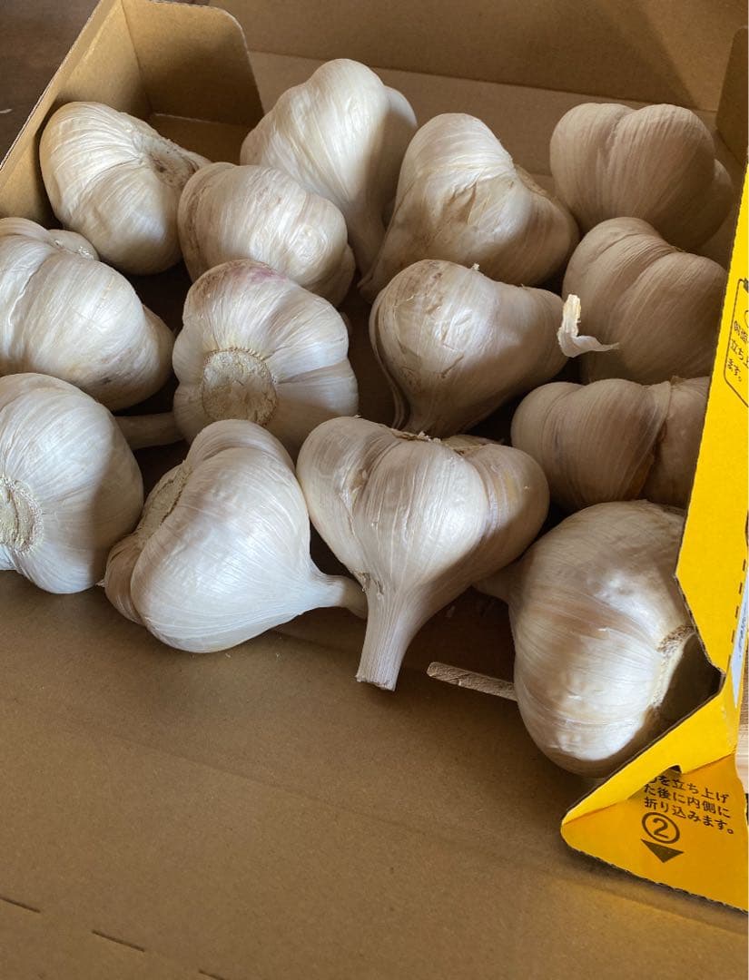 新物　青森県にんにく10Kg A.B品