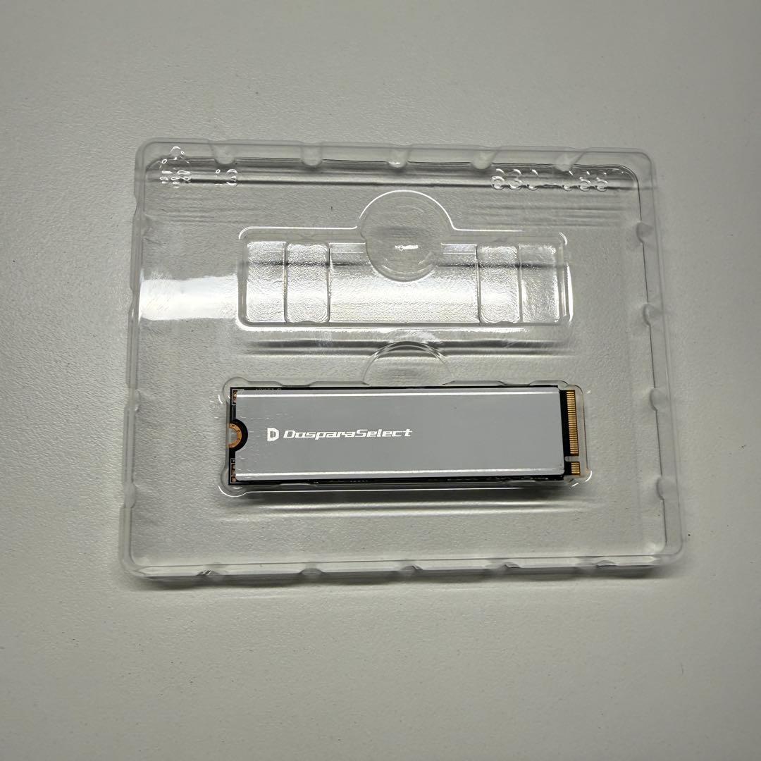 内蔵型SSD 1TB SSD PG4-010TA1