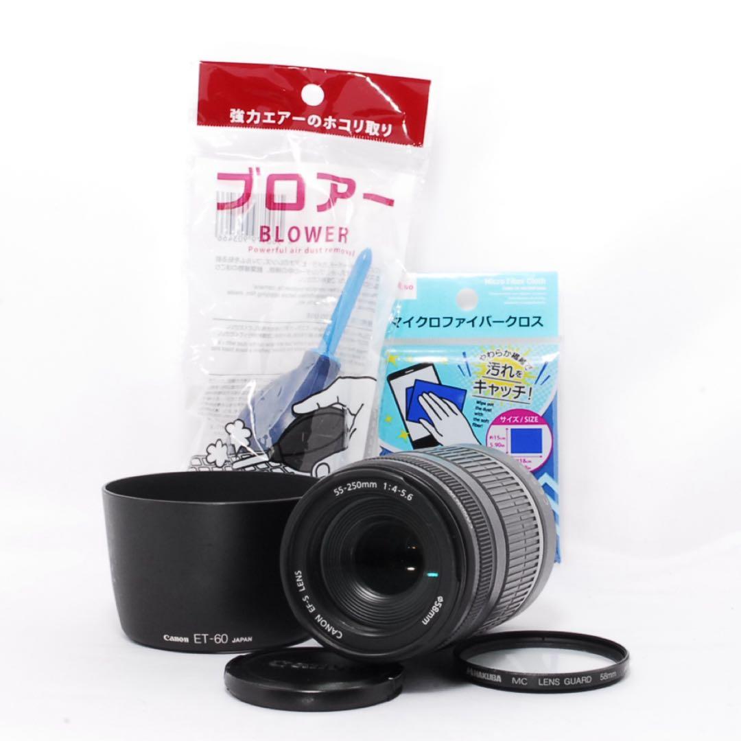 ◆手ぶれ補正◆Canon EF-S 55-250mm IS◆野鳥撮影や野球観戦に