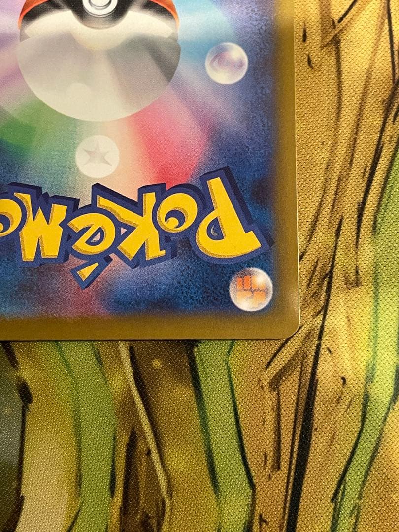 【ローダー付自引き品！】 メガカイリューex sar 1枚