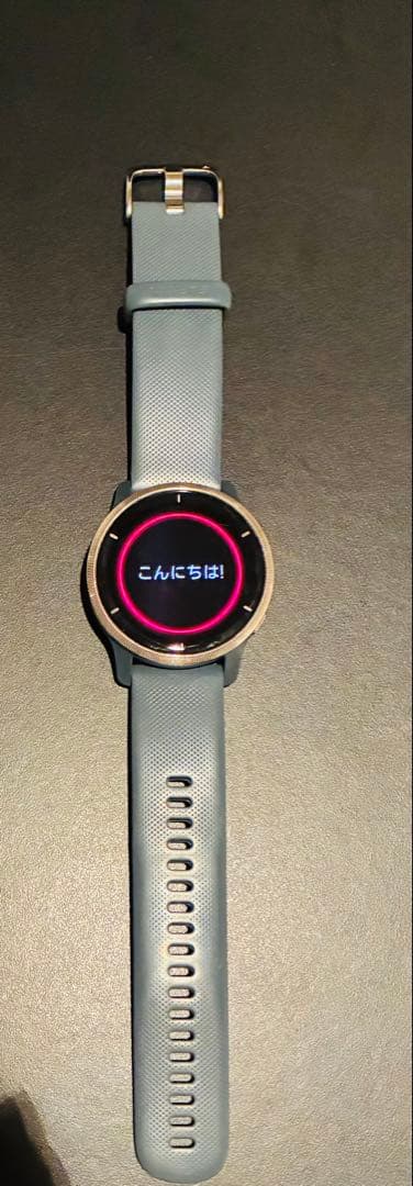 その他 Garmin venu2
