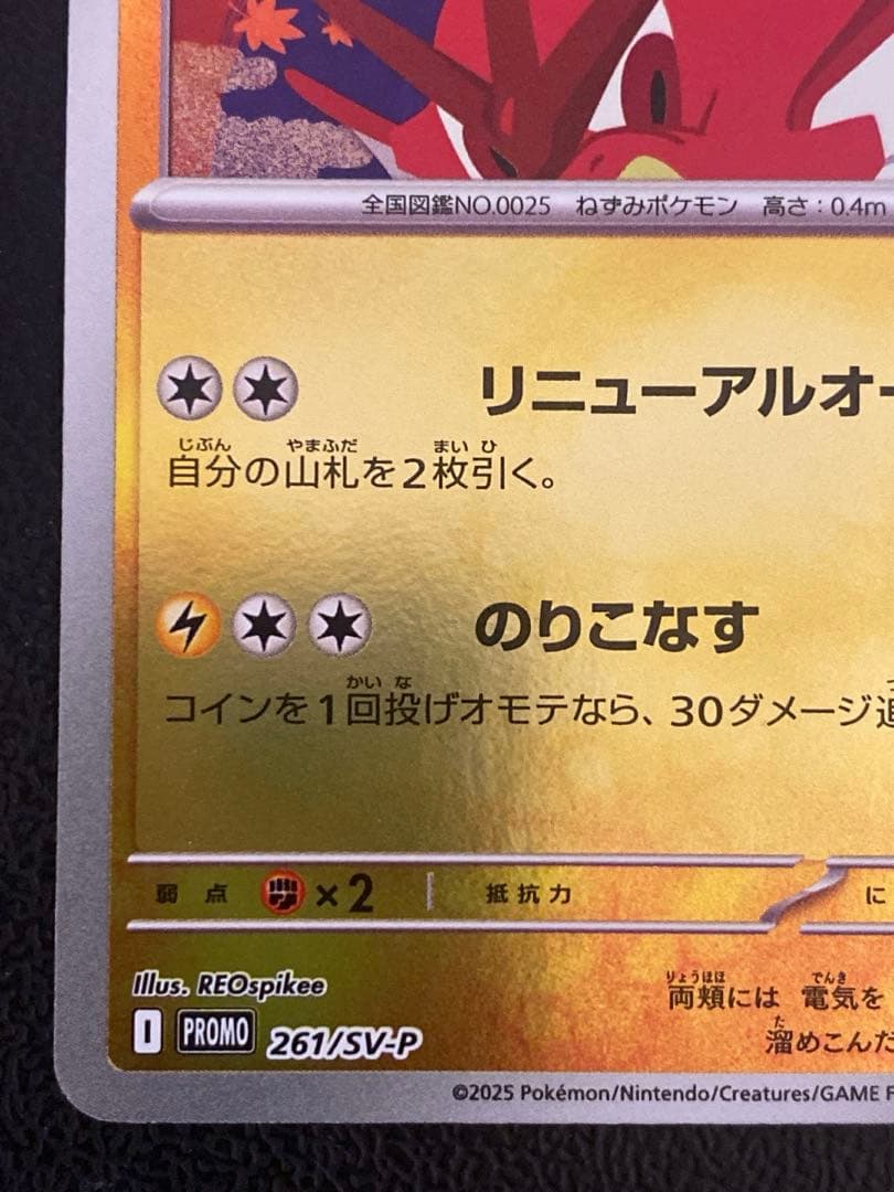 ヒロシマのピカチュウ プロモ