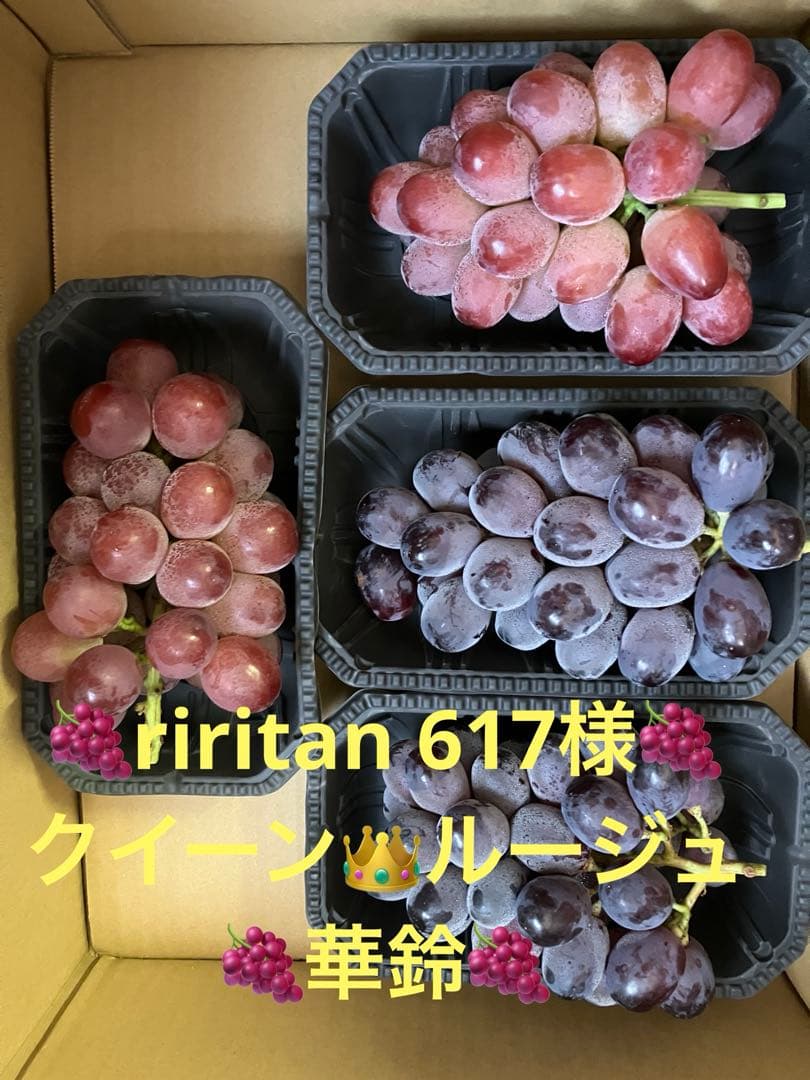 信州産クイーンルージュ・華鈴・ナイアガラ