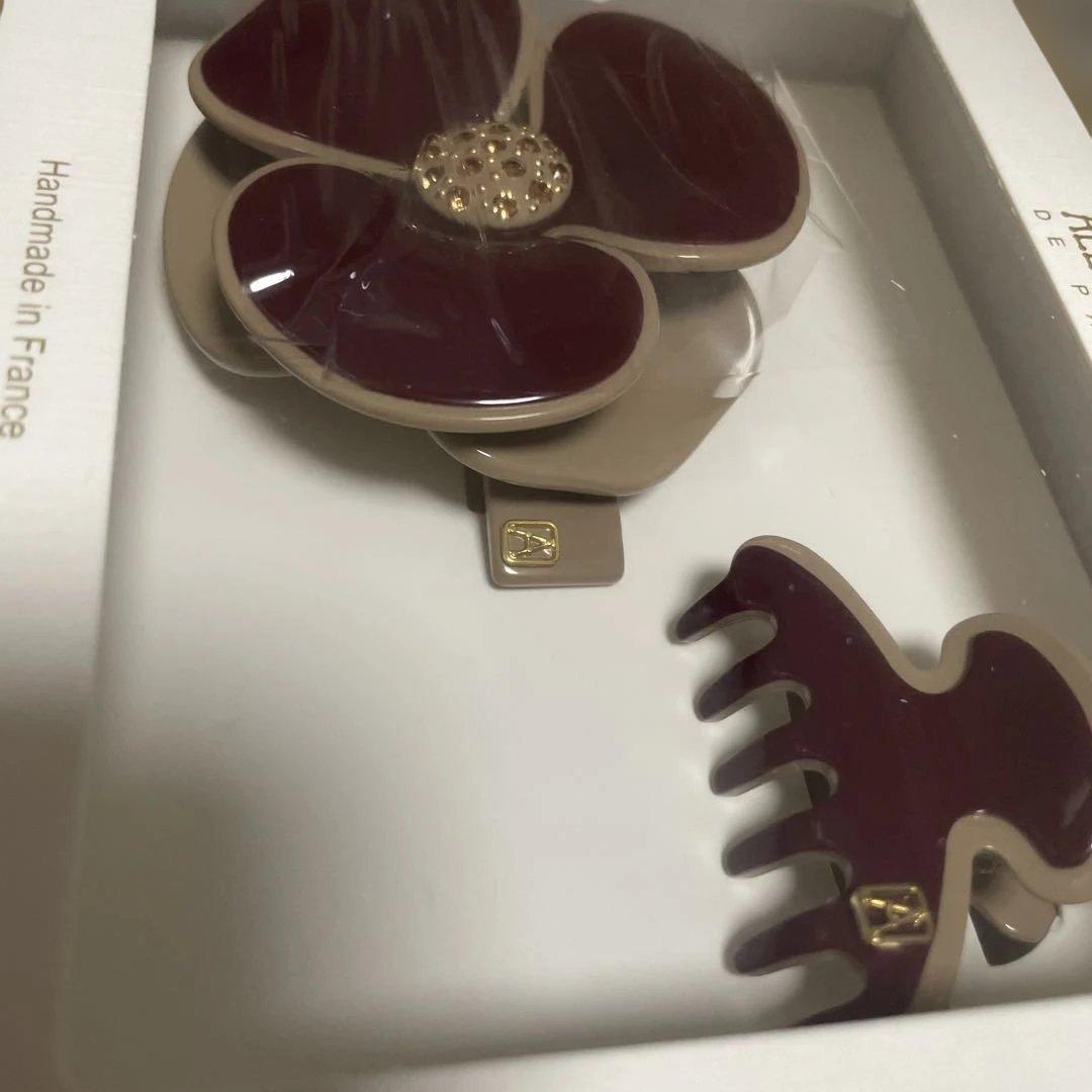 ALEXANDRE DE PARIS ヘアクリップセット