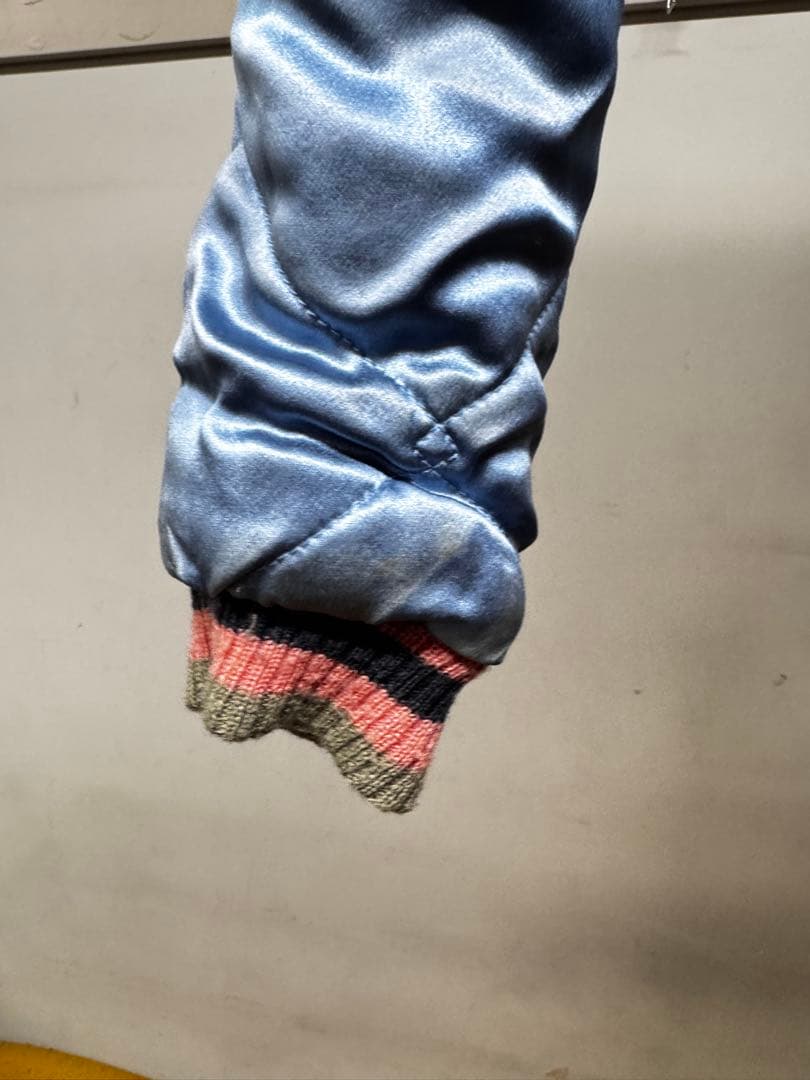 【激レア】EVISU スカジャン【レディース】