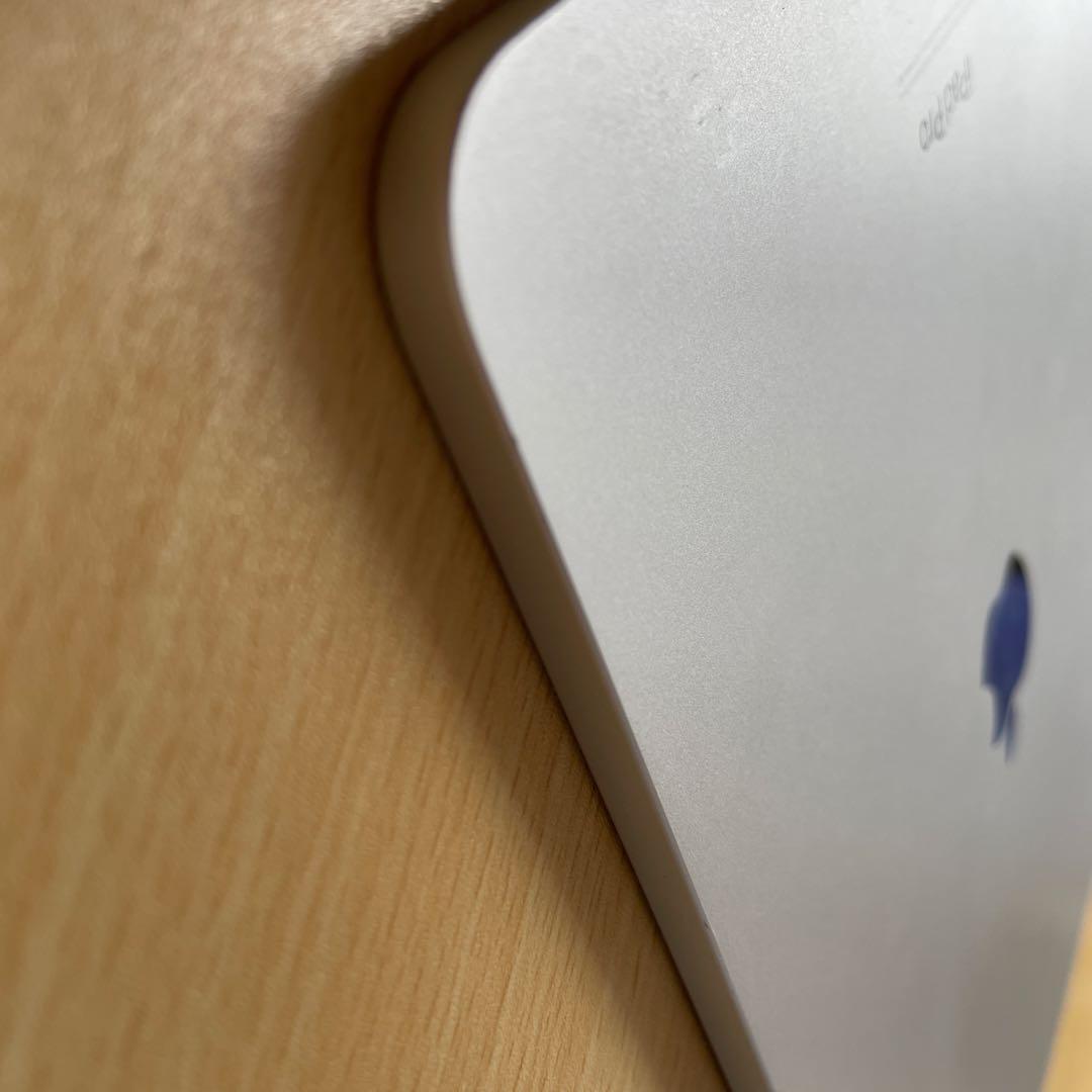 TSURiPad Pro (11インチ) 第4世代 シルバー128GB