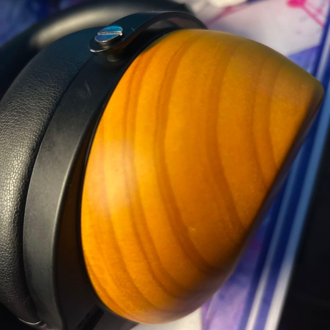 ヘッドホン HIFIMAN HE-R10D