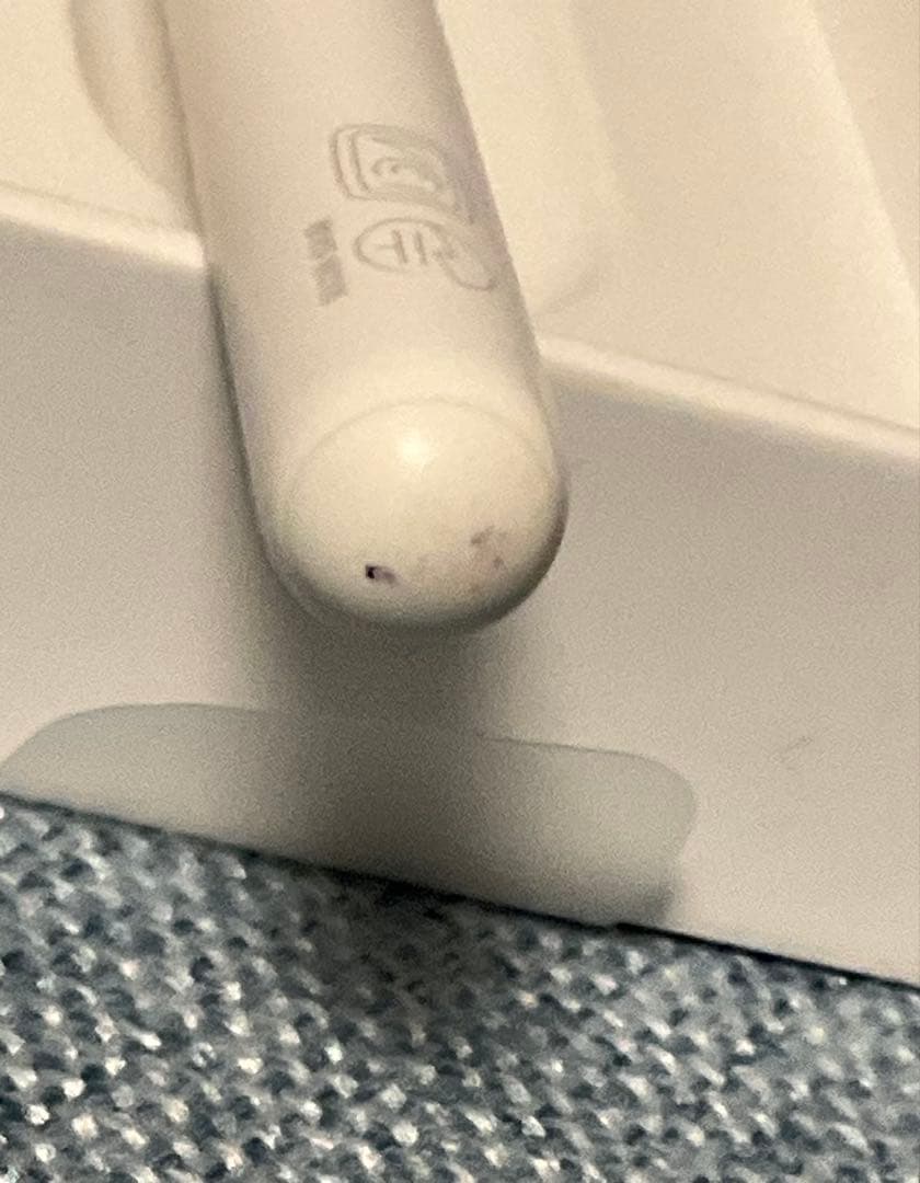 Apple Pencil アップルペンシル　第2世代