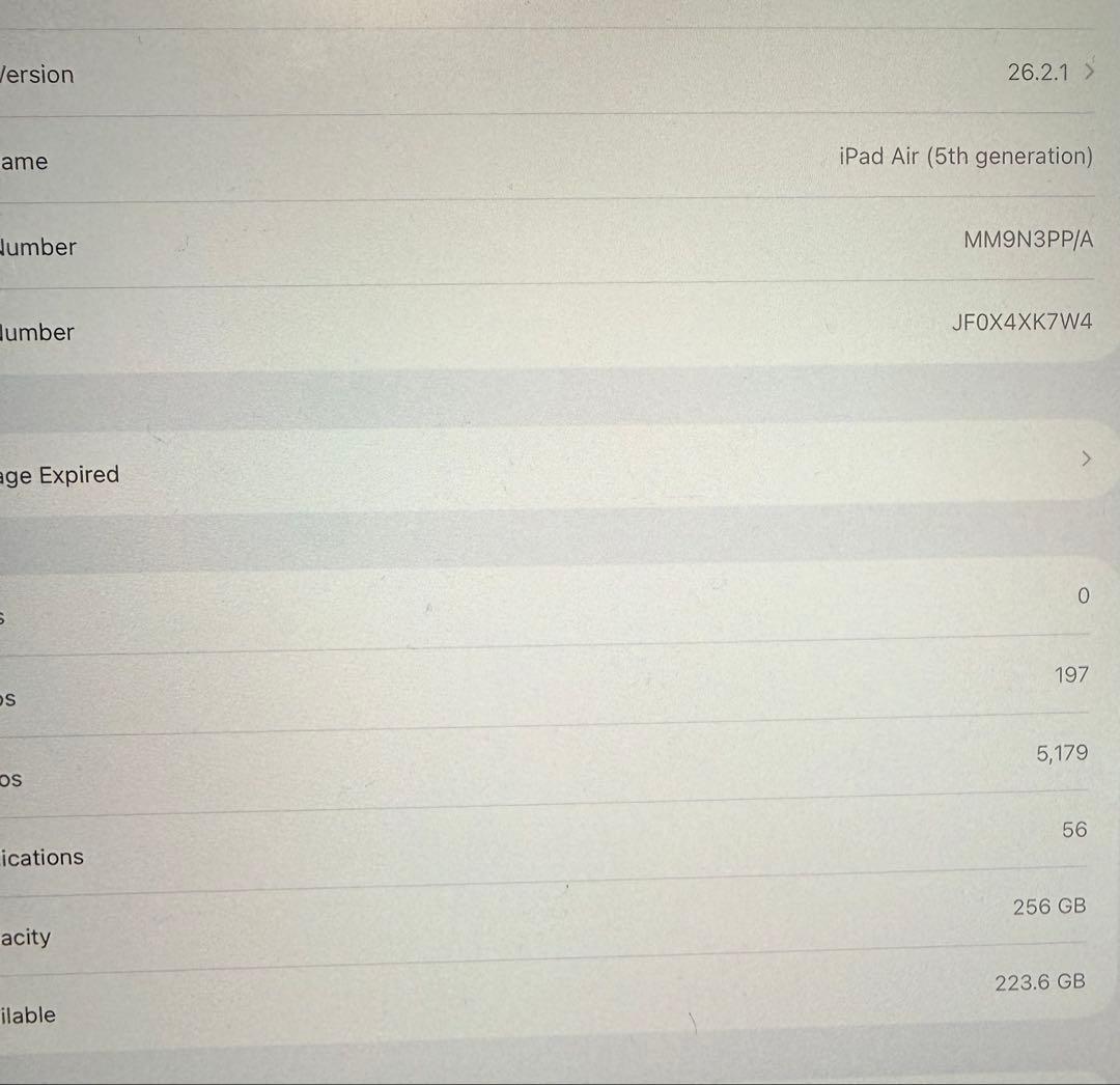 iPad本体 iPad air Wifi 256gb