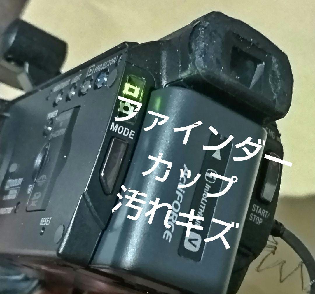 ピンクの猫  SONY HDR-PJ790 ビデオカメラ ソニー