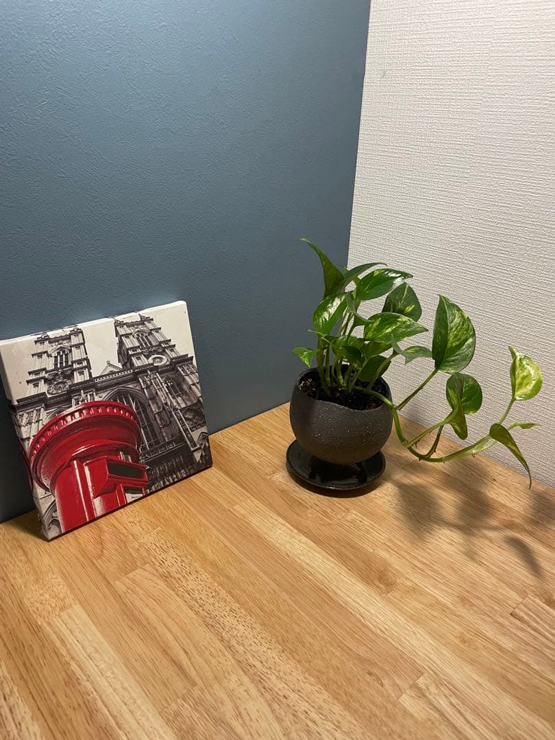 スタンディングデスク × ラバーウッド ナチュラル × Black Steel