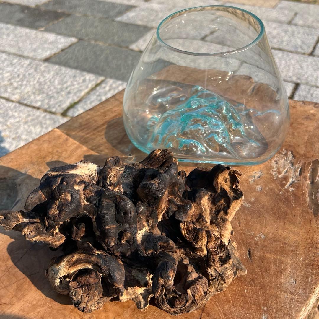 流木ガラスオブジェ大A 花瓶 金魚鉢 ガーデニング テラリウム 水槽 アート作品