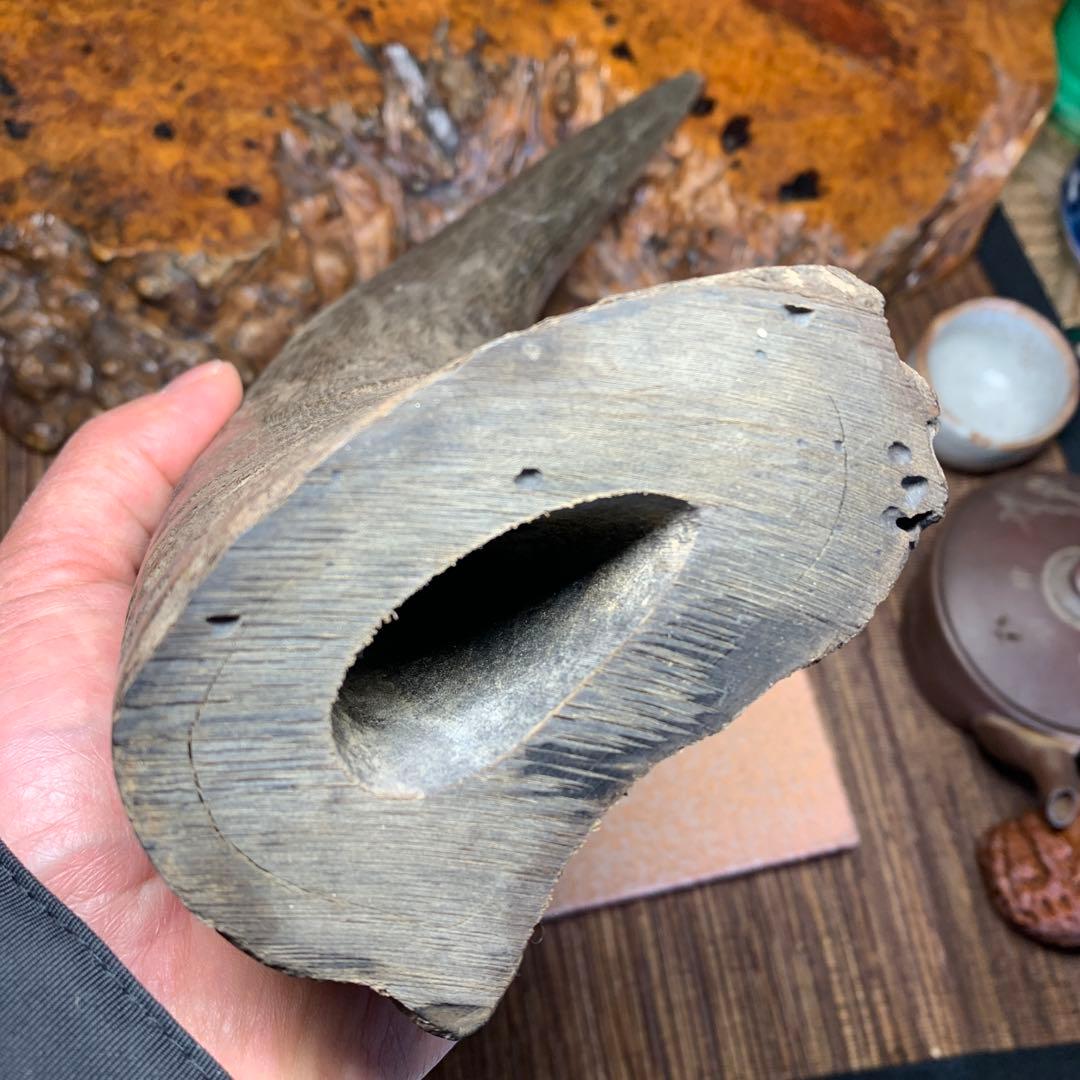 に*ょ様 稀少牛の角置物