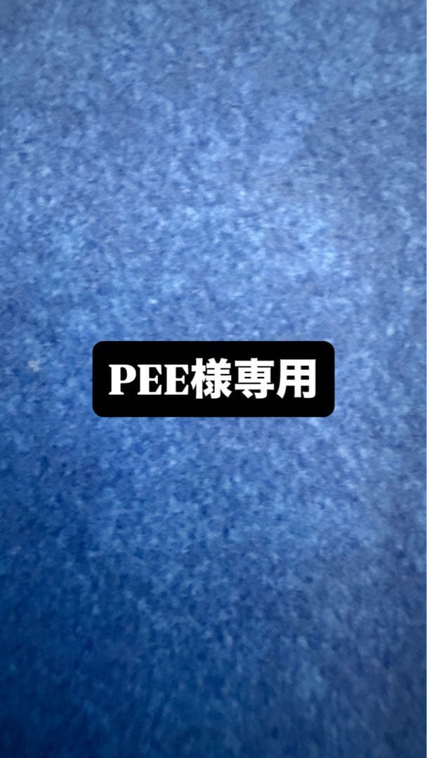 ミニカー PEE
