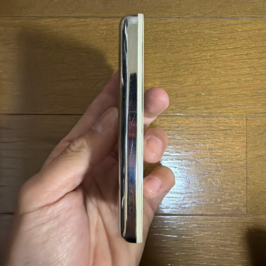 Apple iPod 30GB シルバー