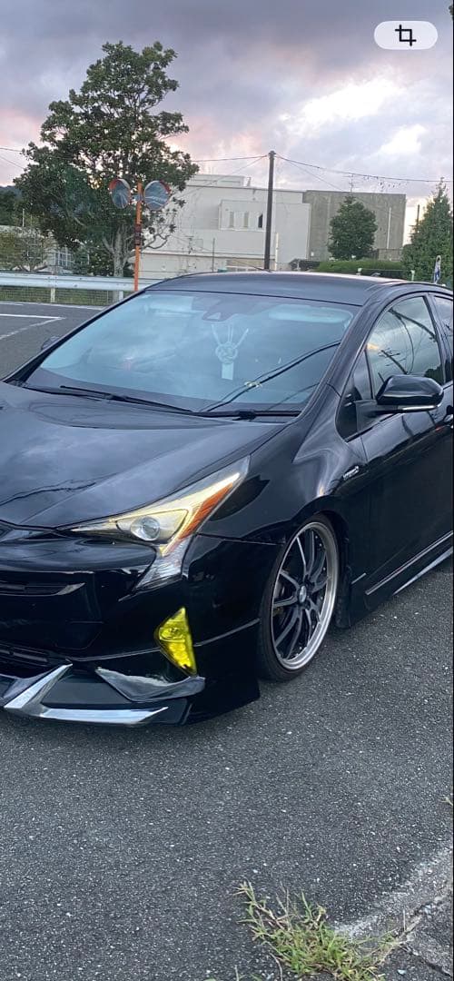 50プリウス前期フォグカバー