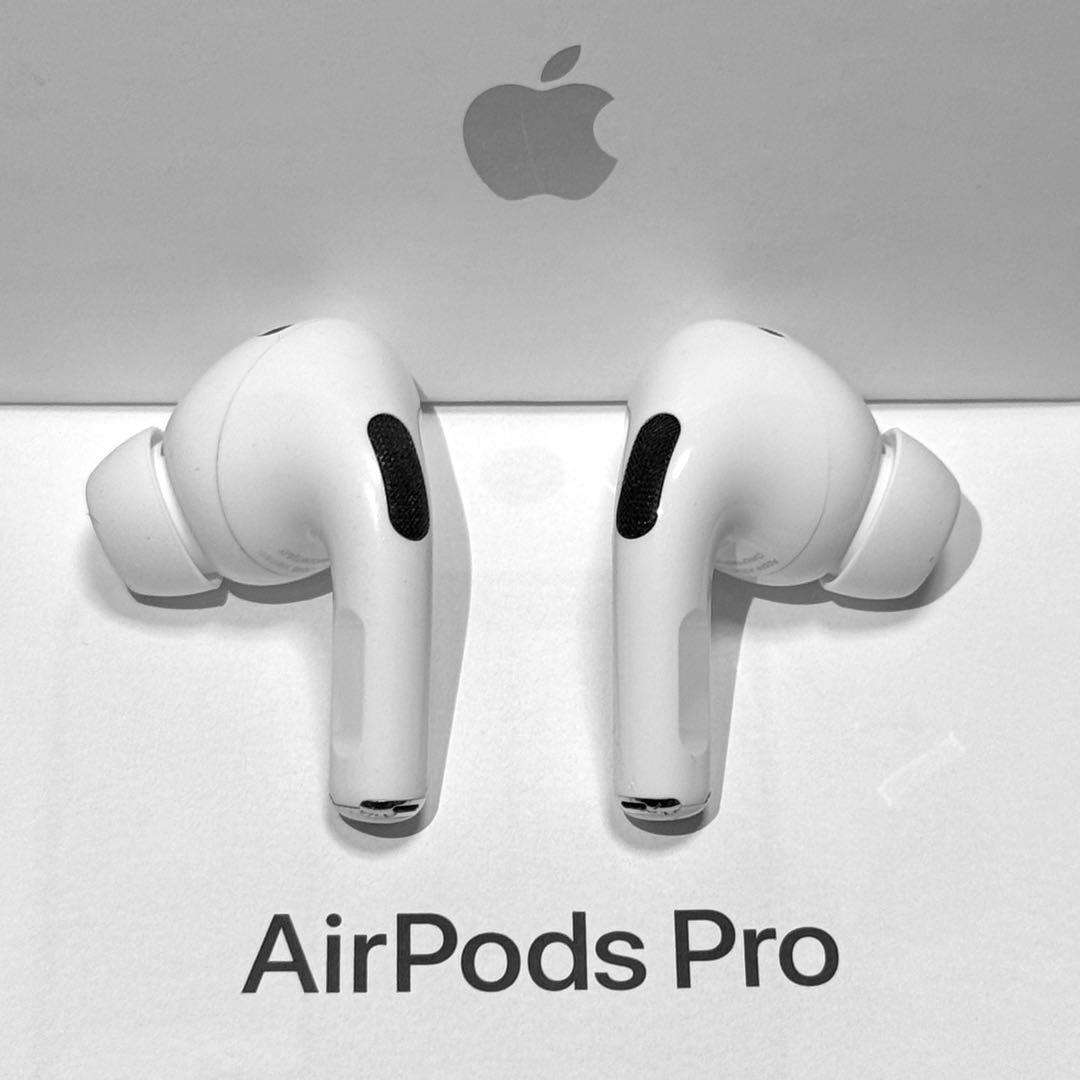 【綺麗】Apple AirPods Pro 第2世代 USB-C イヤホンのみ