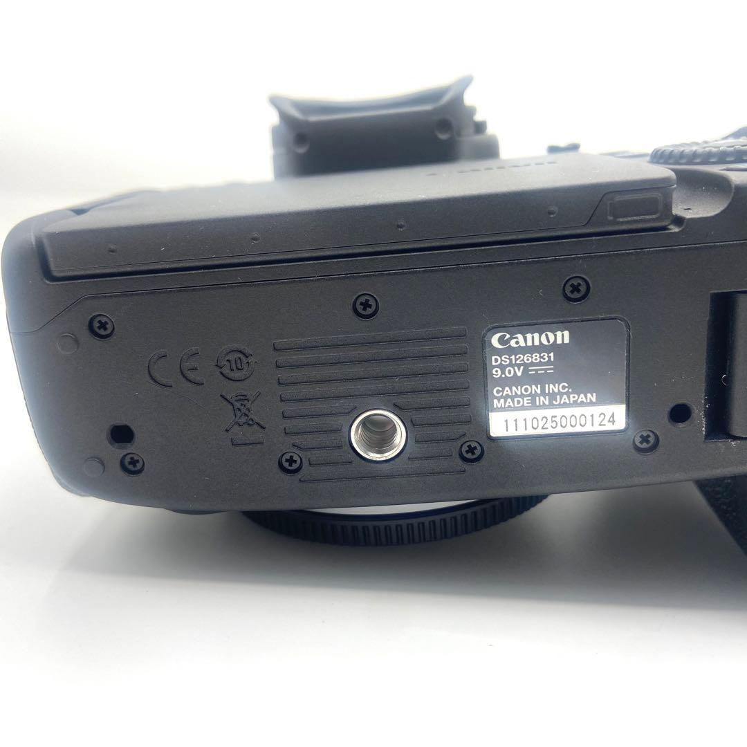 【極美品】　Canon キャノン　EOS R5 ミラーレスカメラ　デジタルカメラ