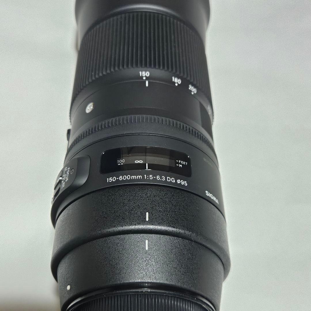 シグマ150-600mm Contemporary キヤノンEFマウント