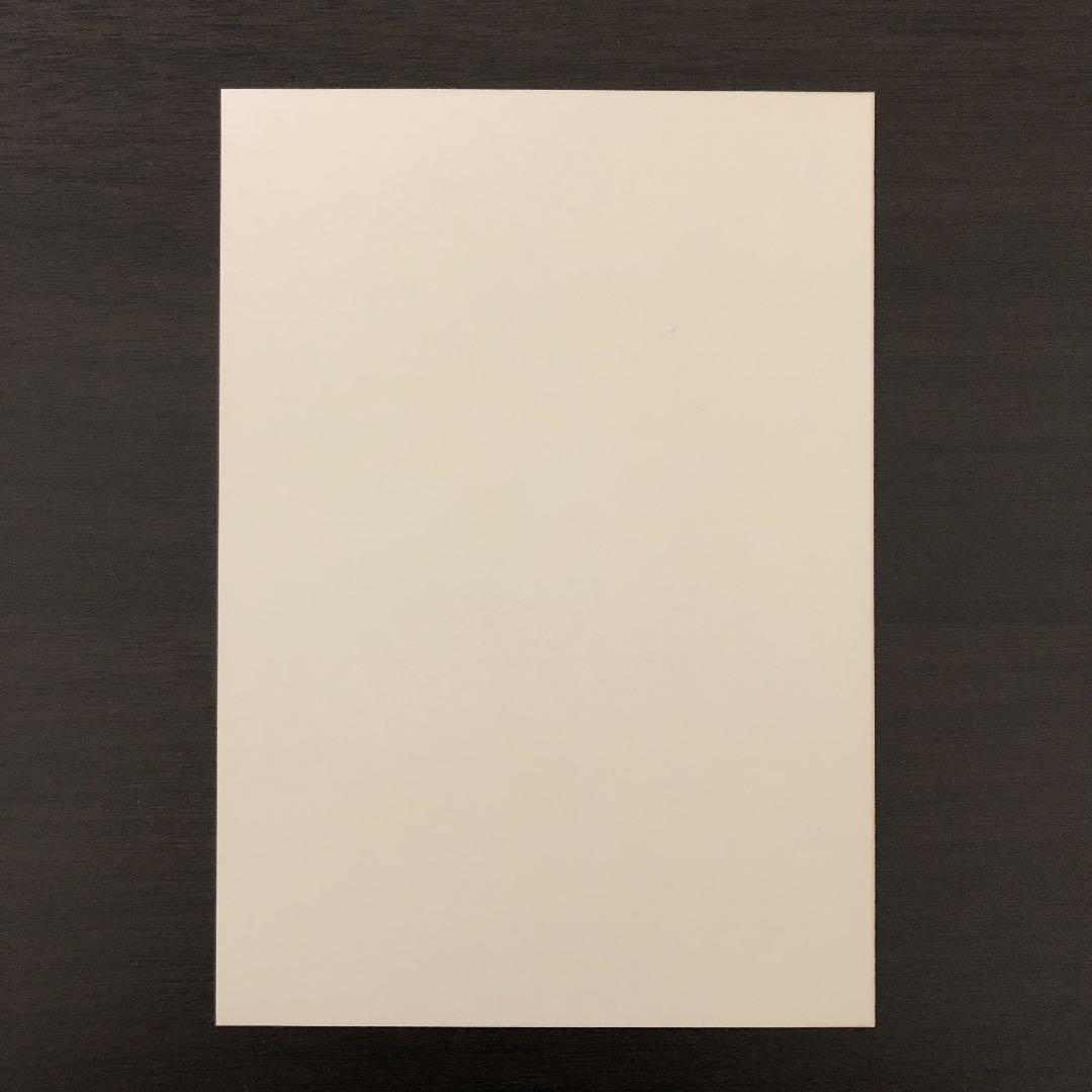 【MSM】三浦春馬　フォトケース　写真付き