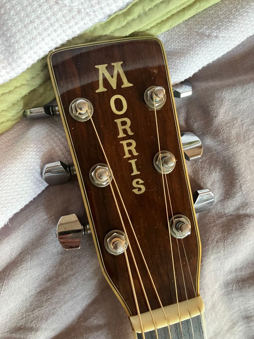 morris モーリス　W-40 アコースティックギター