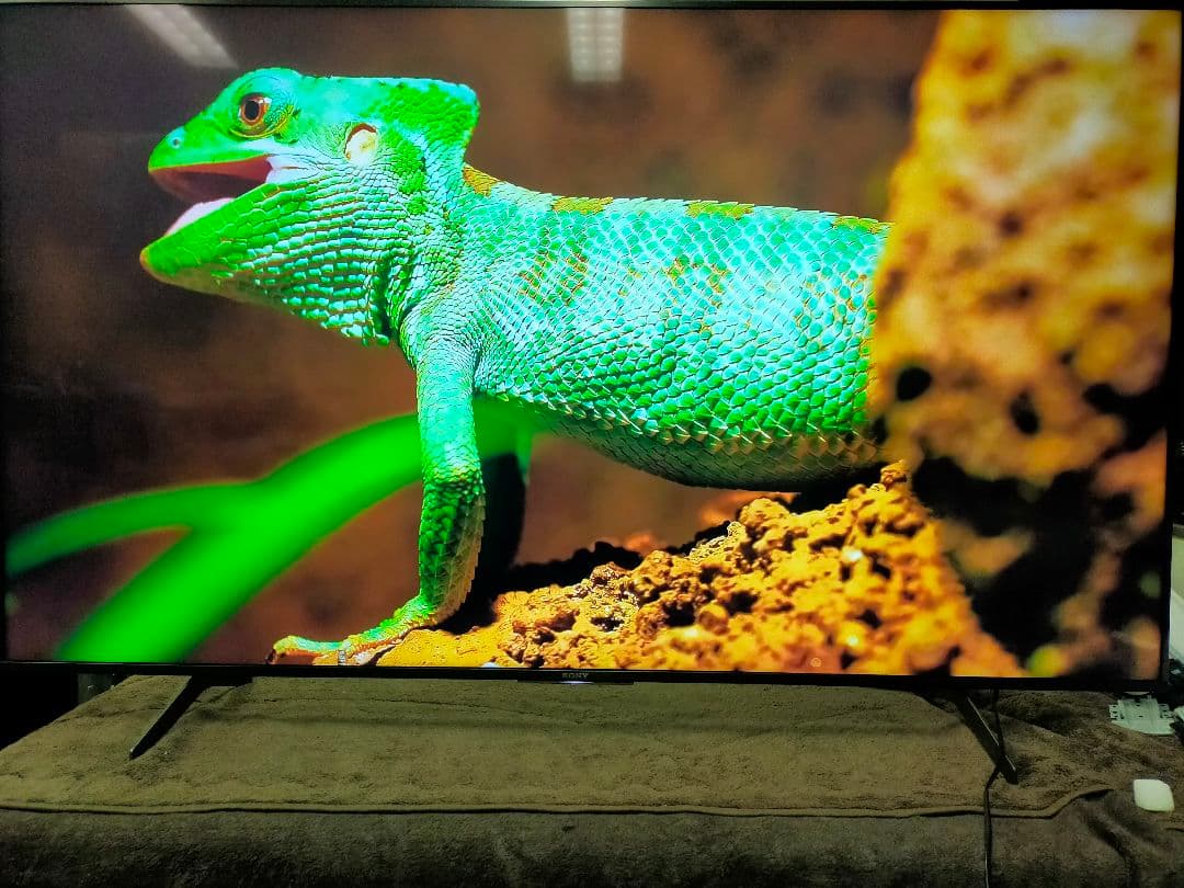 SONY BRAVIA KJ-65X8550H（2020年製）