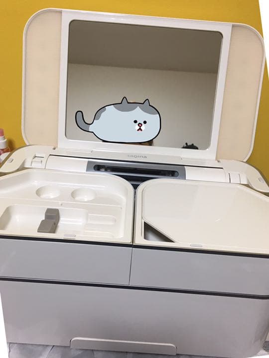 フヨウ サキナ ビジュー