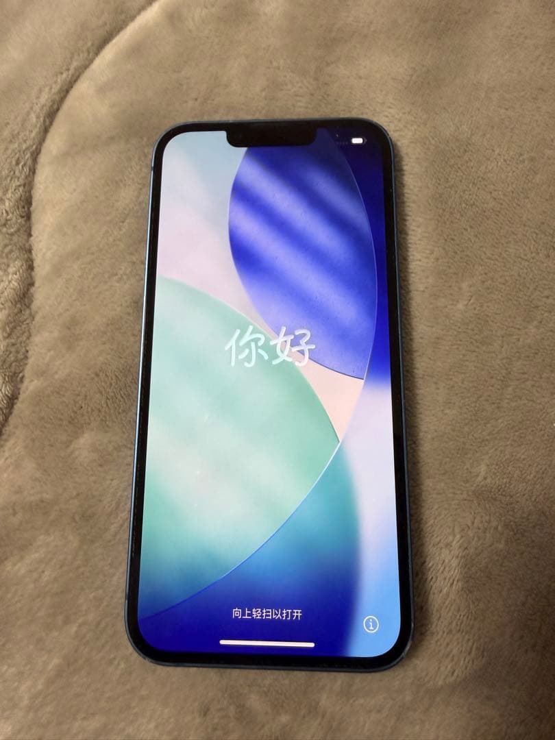 ふ*わ様 iPhone13 ブルー 充電コード イヤホン付き