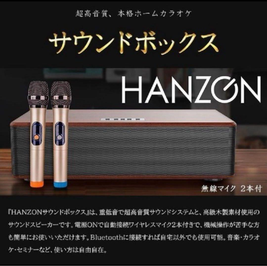 HANZON 自宅用カラオケ