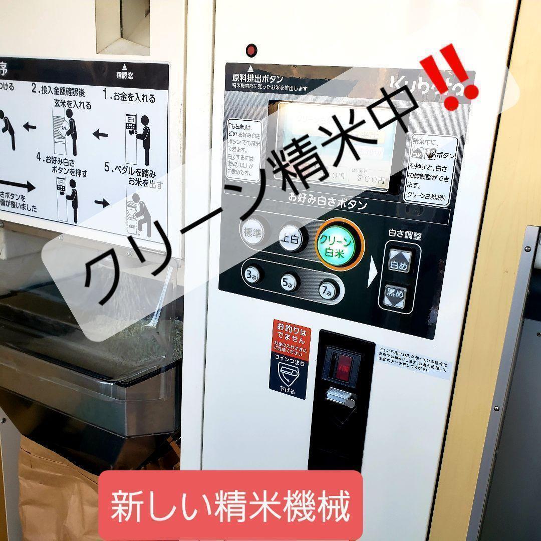 令和7年産棚田で育った特Aさがびより10キロ