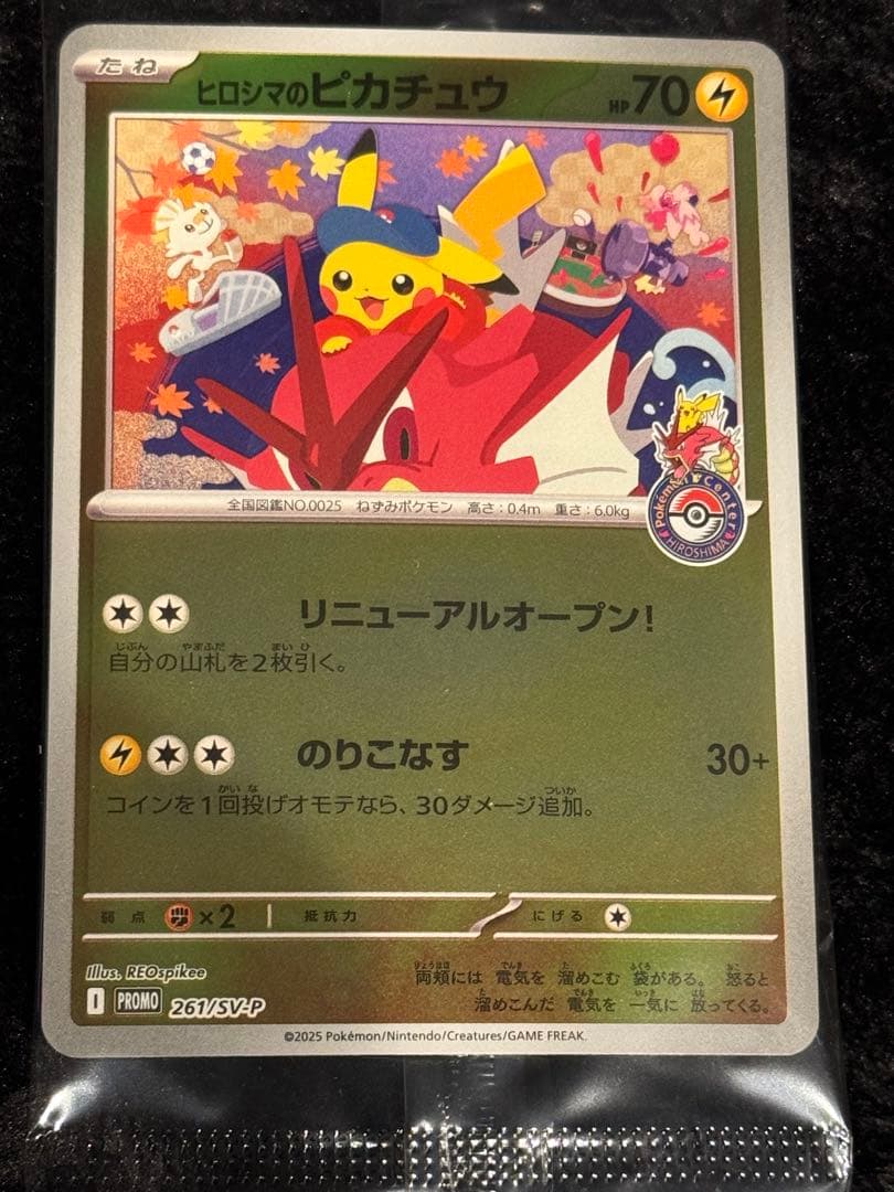 トウホクのピカチュウ　ヒロシマのピカチュウ