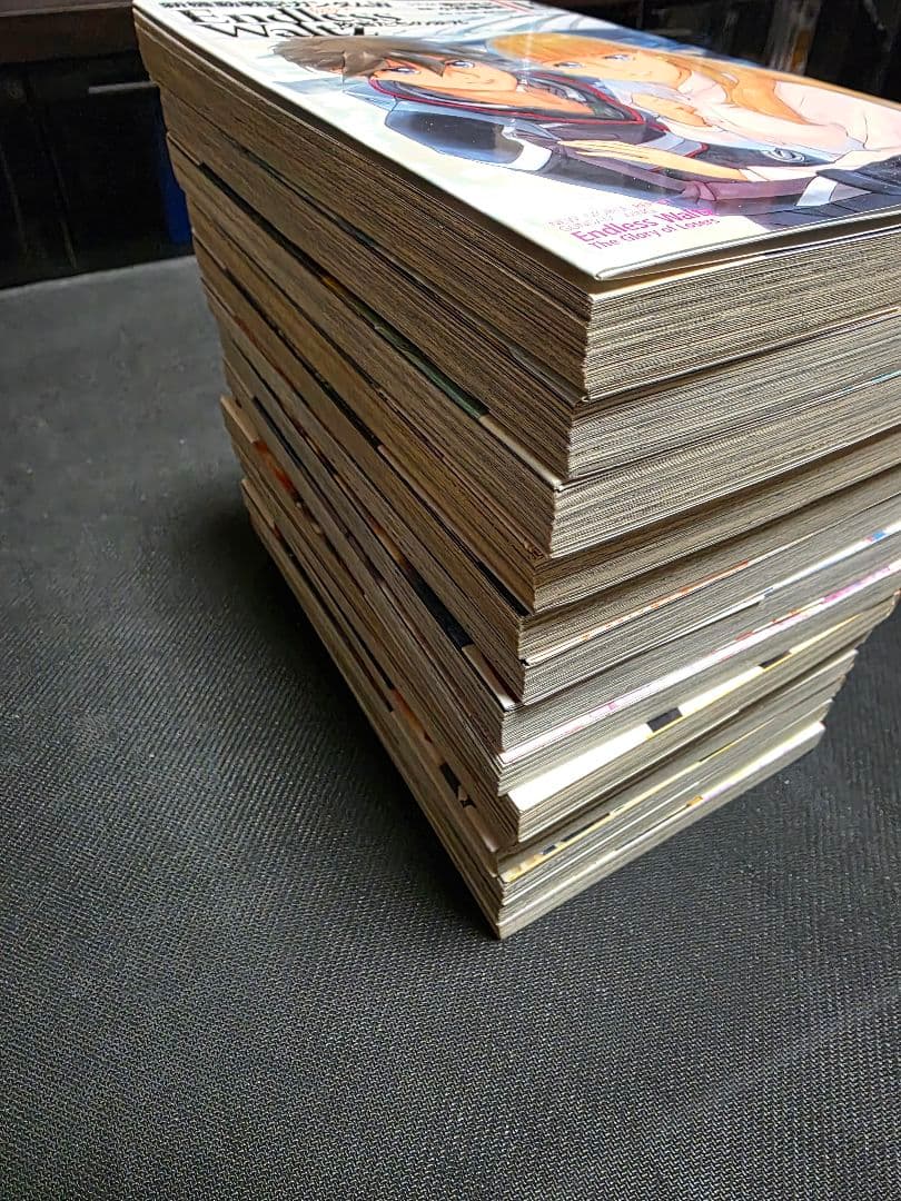 新機動戦記ガンダムW Endless Waltz 敗者たちの栄光　全巻 セット