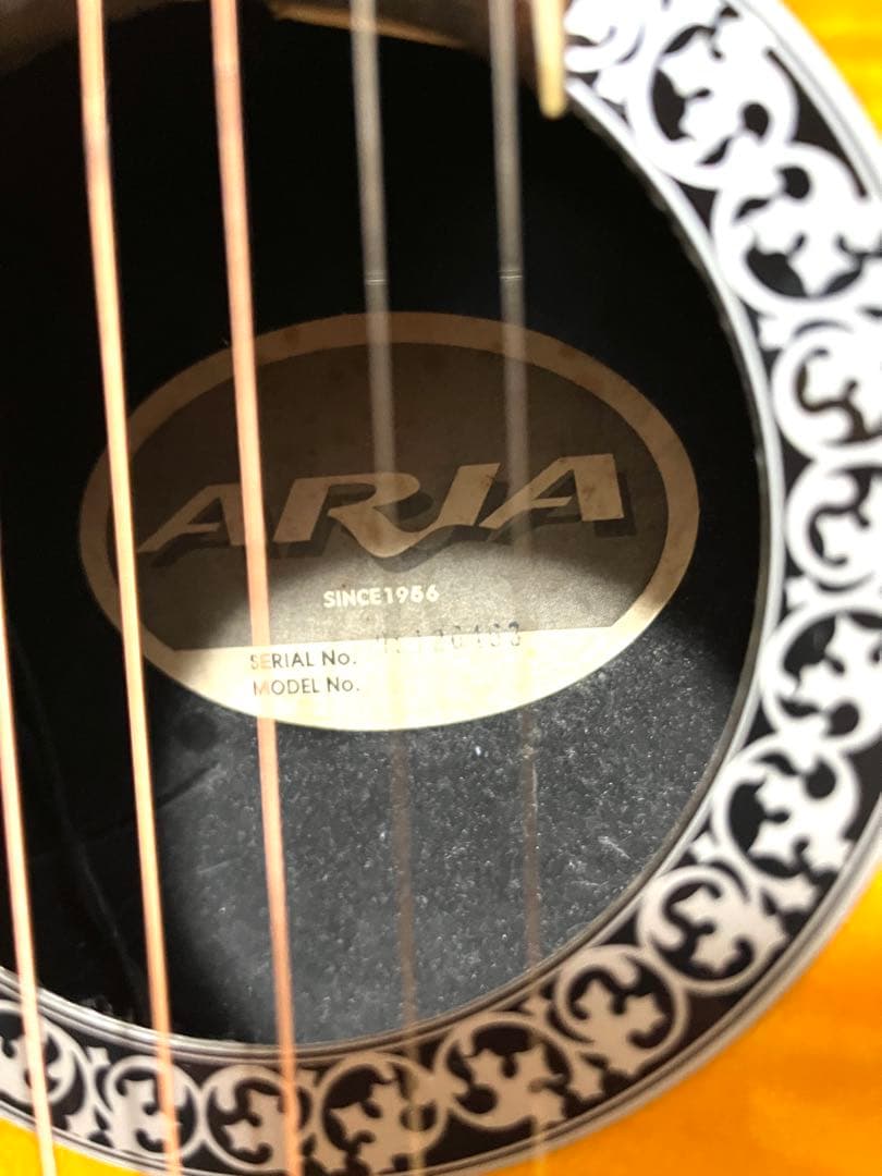 ARIA エレアコ since 1956 （中古）