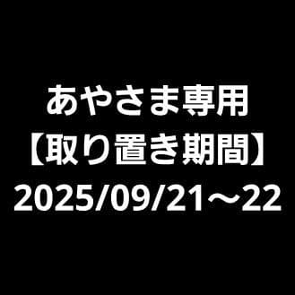 【あやさま専用】MacBook Pro 2020年モデル Intel搭載